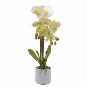 orchidea művirág kép