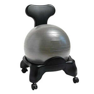 Timeless Tools Fitnesz szék 55 cm labdával, pumpával kép