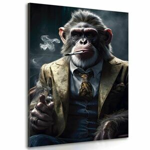 Kép állati gengszter csimpánz kép