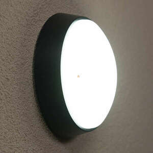 Kerek fali LED lámpa fekete színben, 21x8cm (Titania-R) kép
