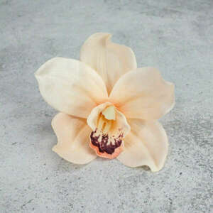 Orchidea fej 4db/csom barack kép