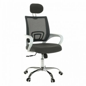 Irodai szék, szürke/fehér, SANAZ TYP 1 kép