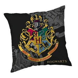 Harry Potter 138 párna, 40 x 40 cm kép