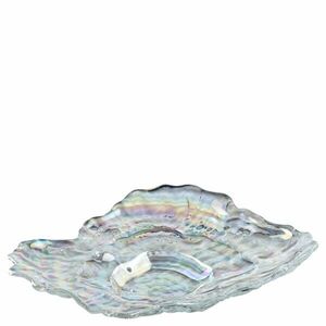 LEONARDO POESIA kagyló tál 23x17cm kép