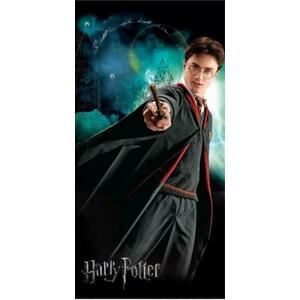 Harry Potter 70x140 cm (008380) kép