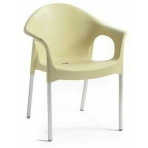 Lisa műanyag kerti karfás szék (531153) kép