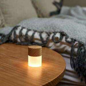 Lemelie hordozható kőrisfa asztali lámpa - Gingko kép
