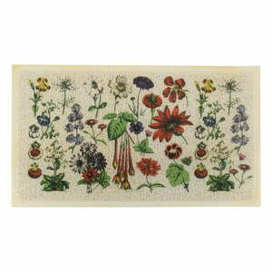 Lábtörlő 40x70 cm Botanicals – Artsy Doormats kép