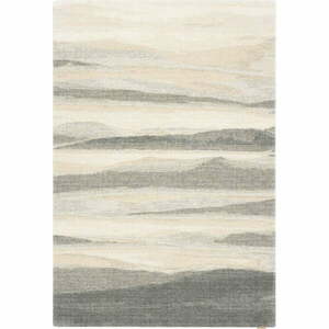 Szürke-bézs gyapjú szőnyeg 160x240 cm Elidu – Agnella kép