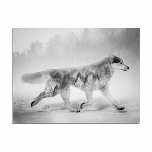 Canvas Nordic Wolf fali kép, 75 x 100 cm - Styler kép
