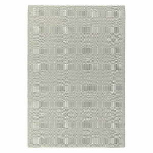 Világosszürke gyapjú szőnyeg 200x300 cm Sloan – Asiatic Carpets kép