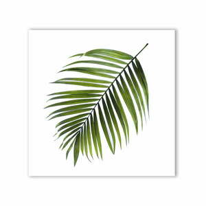 Canvas Greenery Black Palm kép, 32 x 32 cm - Styler kép