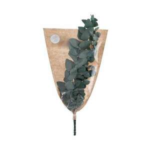 Flower Market szárított Eukaliptusz 1 szálas 60cm - zöld kép