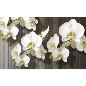 Fotótapéta Orchidea fehér 2 XL kép