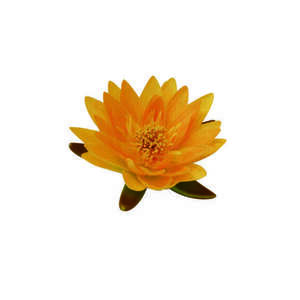Ubbink selyemvirág, sárga tavirózsa, 16 cm kép