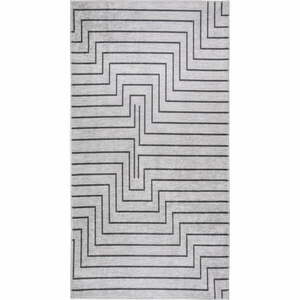 Világosszürke mosható szőnyeg 120x160 cm – Vitaus kép