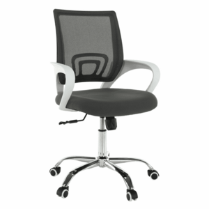 Irodai szék, szürke/fehér, SANAZ TYP 2 kép
