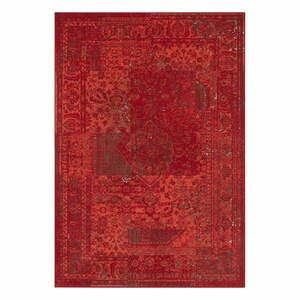 Celebration Plume piros szőnyeg, 200 x 290 cm - Hanse Home kép