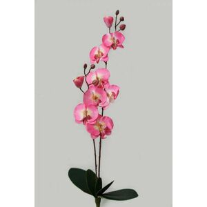 Halvány rózsaszín két szárú mű orchidea 67cm kép