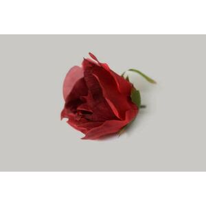 Vörös rózsafejek 12db 8cm kép