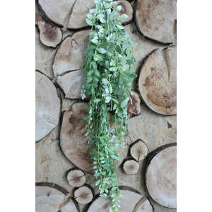 Zöldesfehér mű aeschynanthus 90cm kép