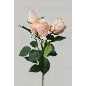 Barack színű mű háromvirágú rózsa 73cm kép