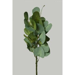 Zöld mű eukaliptusz 49cm kép