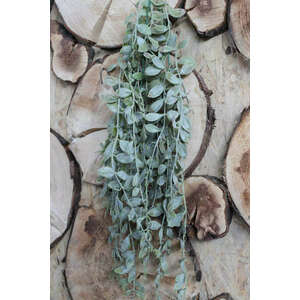 Szürkészöld mű aeschynanthus 80cm kép