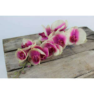 Rózsaszín mű orchidea levelekkel és gyökérrel 70cm kép