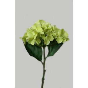 Zöld hortenzia 32cm kép