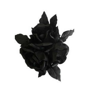 Fekete luxus rózsák levelekkel 60cm kép