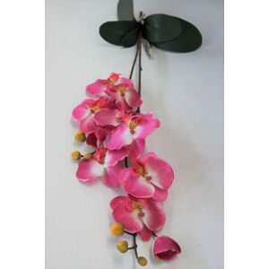 Rózsaszín két szárú mű orchidea 67cm kép