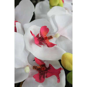 Fehér három szárú mű orchidea 90cm kép