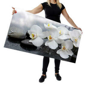 Wallplex falburkoló konyhapanel Orchidea kép