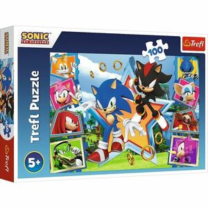 Trefl Puzzle Sonic ismerkedj meg a sündisznóval, 100 darab kép
