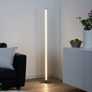 LED állólámpa Bella, egyenes, négyzet alakú talp, acél kép