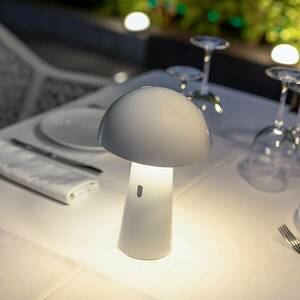 Newgarden Shitake LED akkus asztali lámpa fehér kép
