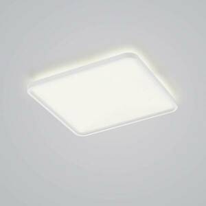 Helestra Vesp LED panel backlight 61x61cm fehér kép