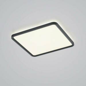 Helestra Vesp LED panel backlight 61x61cm fekete kép