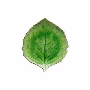 Riviera zöld agyagkerámia tányér, 19 x 22 cm - Costa Nova kép