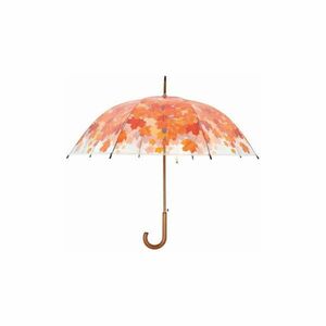 átlátszó esernyő kép
