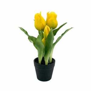 Prémium minőségű gumi tulipán-citrom - kép