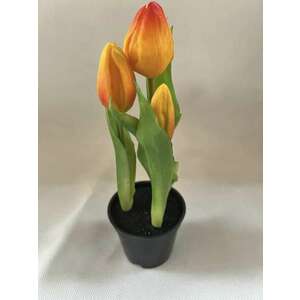 Real Touch tulipán 3 szálas cserepes-NARANCS ballagásra tanárné... kép