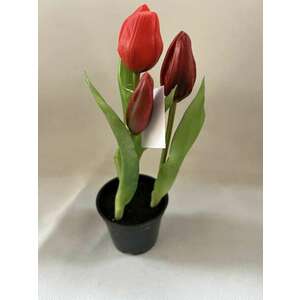 Real Touch cserepes tulipán 3 szálas -PIROS kép