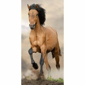 Horse törölköző, 70 x 140 cm kép