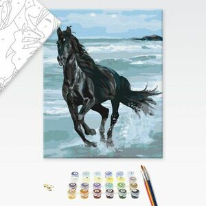 Festés szám szerint fekete ló a parton kép