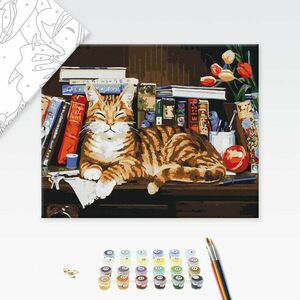Festés szám szerint macska könyvmoly kép