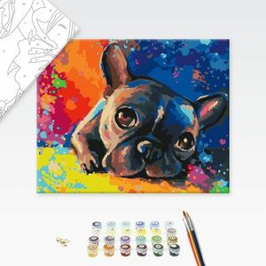 Festés szám szerint színes bulldog kép