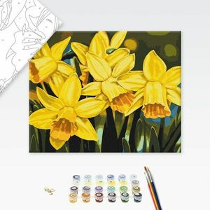 Festés szám szerint nárcisz virágai kép