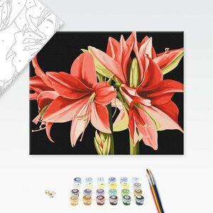 Festés szám szerint Amaryllis virágai kép